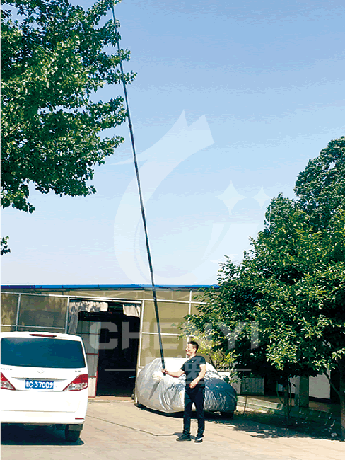 Telescopic pick pole