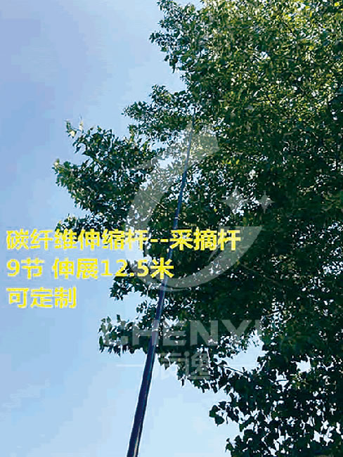 Telescopic pick pole